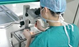 超详细试管婴儿流程，看完心里才有底