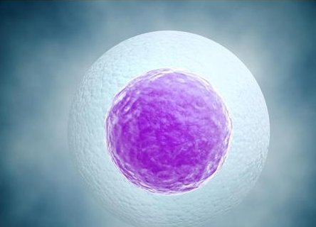 柬埔寨妇幼国际医院做试管婴儿有什么优势，价格低仅是其中之一