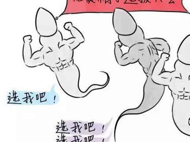 2026苏州三代试管花费多少钱？附费用详情