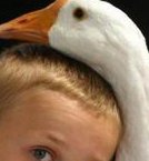 海外三代试管婴儿的多少费用包含哪些方面？